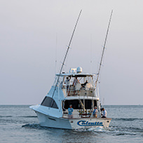 Hatteras Marlin Club Blue Marlin Release Tournament