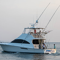 Hatteras Marlin Club Blue Marlin Release Tournament