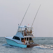 Hatteras Marlin Club Blue Marlin Release Tournament