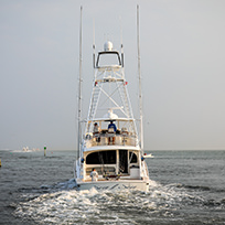 Hatteras Marlin Club Blue Marlin Release Tournament