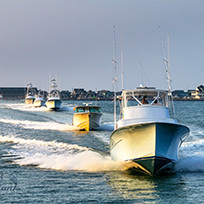 Hatteras Marlin Club Blue Marlin Release Tournament