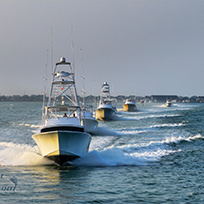 Hatteras Marlin Club Blue Marlin Release Tournament