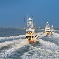 Hatteras Marlin Club Blue Marlin Release Tournament