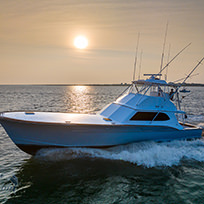 Hatteras Marlin Club Blue Marlin Release Tournament