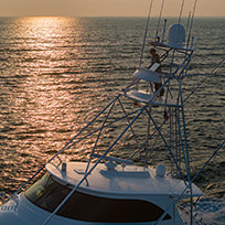 Hatteras Marlin Club Blue Marlin Release Tournament