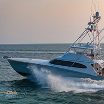 Hatteras Marlin Club Blue Marlin Release Tournament