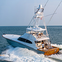 Hatteras Marlin Club Blue Marlin Release Tournament