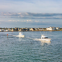 Hatteras Marlin Club Blue Marlin Release Tournament