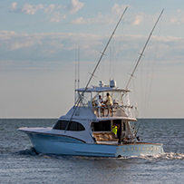Hatteras Marlin Club Blue Marlin Release Tournament