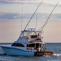 Hatteras Marlin Club Blue Marlin Release Tournament