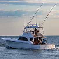 Hatteras Marlin Club Blue Marlin Release Tournament