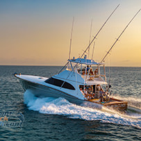Hatteras Marlin Club Blue Marlin Release Tournament
