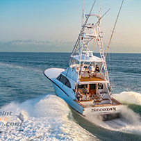 Hatteras Marlin Club Blue Marlin Release Tournament