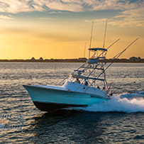 Hatteras Marlin Club Blue Marlin Release Tournament