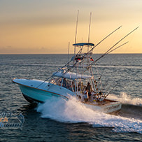 Hatteras Marlin Club Blue Marlin Release Tournament