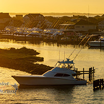 Hatteras Marlin Club Blue Marlin Release Tournament