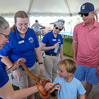 Hatteras Marlin Club Blue Marlin Release Tournament