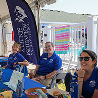 Hatteras Marlin Club Blue Marlin Release Tournament
