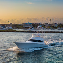 Hatteras Marlin Club Blue Marlin Release Tournament