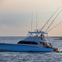 Hatteras Marlin Club Blue Marlin Release Tournament