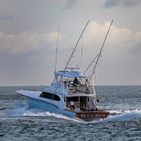 Hatteras Marlin Club Blue Marlin Release Tournament
