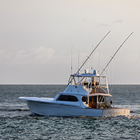 Hatteras Marlin Club Blue Marlin Release Tournament