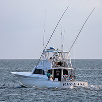 Hatteras Marlin Club Blue Marlin Release Tournament