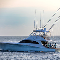 Hatteras Marlin Club Blue Marlin Release Tournament