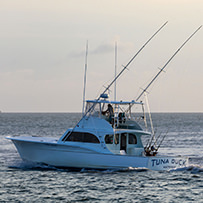 Hatteras Marlin Club Blue Marlin Release Tournament
