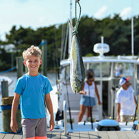 Hatteras Marlin Club Blue Marlin Release Tournament