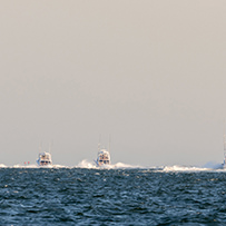 Hatteras Marlin Club Blue Marlin Release Tournament