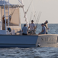 Hatteras Marlin Club Blue Marlin Release Tournament