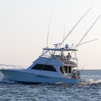 Hatteras Marlin Club Blue Marlin Release Tournament