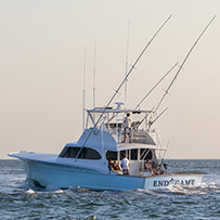 Hatteras Marlin Club Blue Marlin Release Tournament