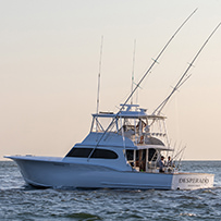 Hatteras Marlin Club Blue Marlin Release Tournament