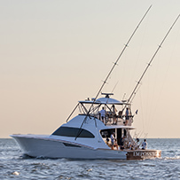 Hatteras Marlin Club Blue Marlin Release Tournament