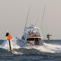 Hatteras Marlin Club Blue Marlin Release Tournament