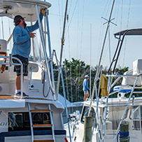 Hatteras Marlin Club Blue Marlin Release Tournament