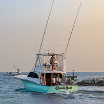 Hatteras Marlin Club Blue Marlin Release Tournament