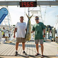 Hatteras Marlin Club Blue Marlin Release Tournament