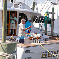 Hatteras Marlin Club Blue Marlin Release Tournament