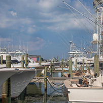 Hatteras Marlin Club Blue Marlin Release Tournament