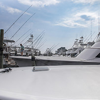 Hatteras Marlin Club Blue Marlin Release Tournament