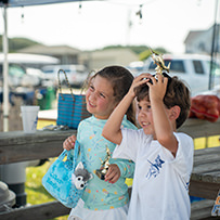 Hatteras Marlin Club Blue Marlin Release Tournament
