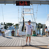 Hatteras Marlin Club Blue Marlin Release Tournament