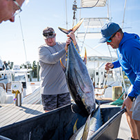 Hatteras Marlin Club Blue Marlin Release Tournament