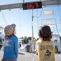 Hatteras Marlin Club Blue Marlin Release Tournament