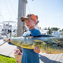 Hatteras Marlin Club Blue Marlin Release Tournament