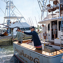 Hatteras Marlin Club Blue Marlin Release Tournament