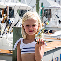 Hatteras Marlin Club Blue Marlin Release Tournament